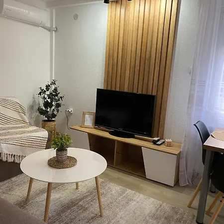 Apartment Lazarevic *