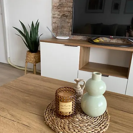 Lazarevic Appartement *