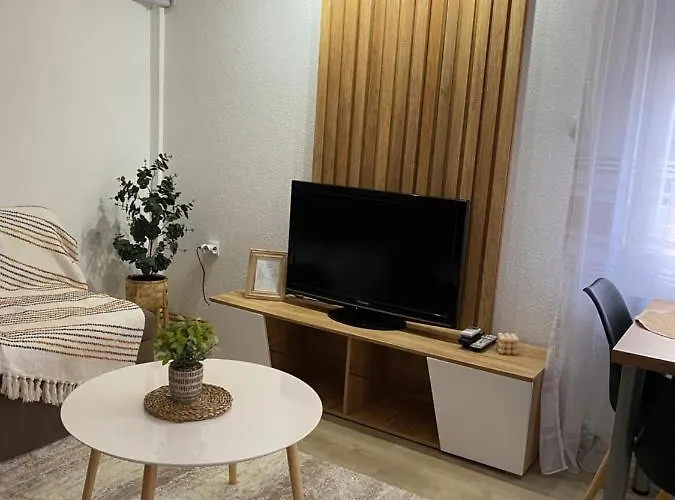 Apartament Lazarevic *