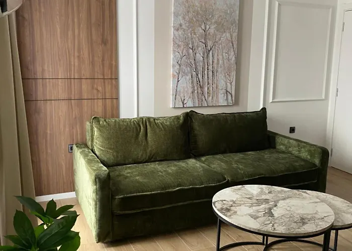 Lazarevic Apartament *